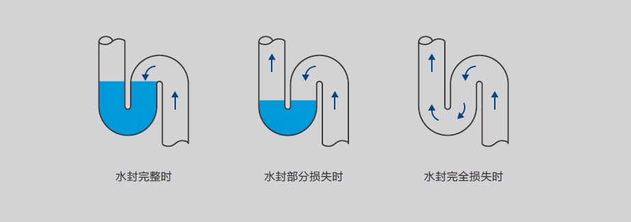 地漏存水弯