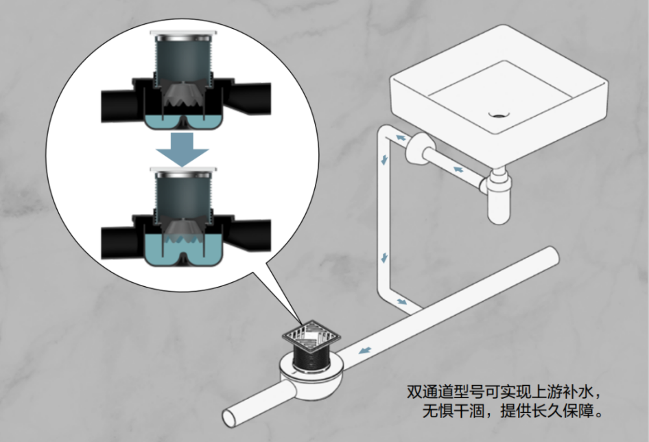 地漏存水弯