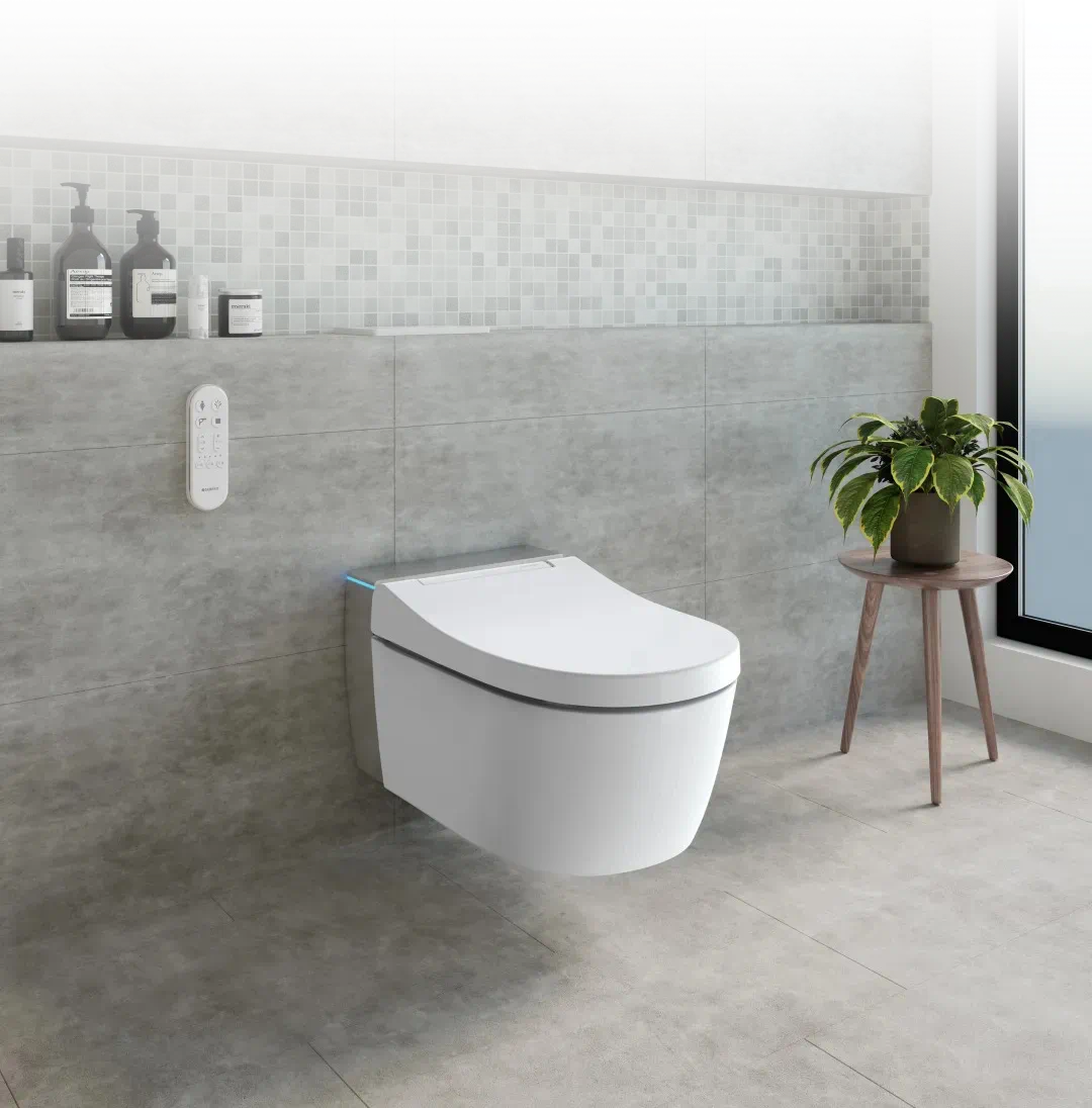 智能马桶的功能有哪些