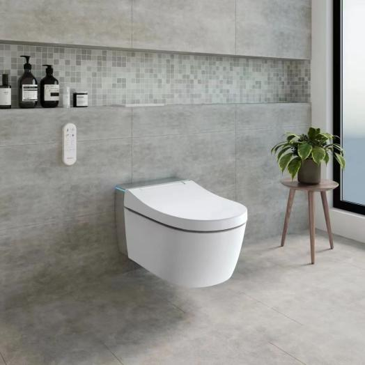 购买智能马桶需要注意什么