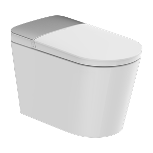 AquaClean P20