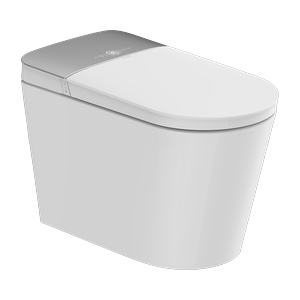 AquaClean P60
