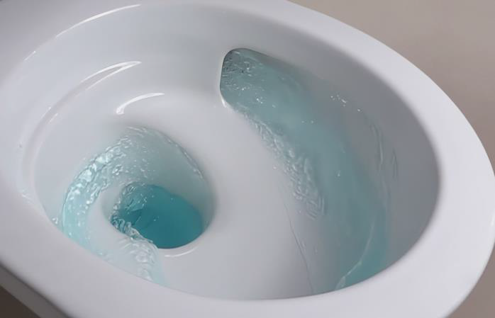TurboFlush 漩流冲水